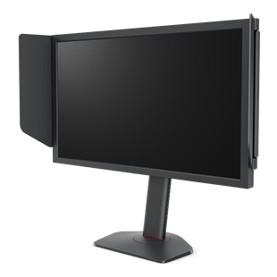BENQ 24.1