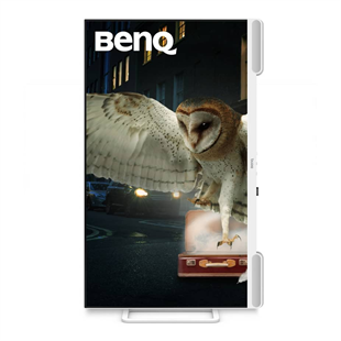 BENQ 31.5