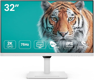 BENQ 31.5