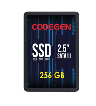 CODEGEN 256GB CDG-256GB-SSD25 560- 500MB/s SSD SATA-3 Disk
