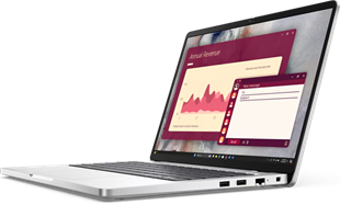 DELL 14