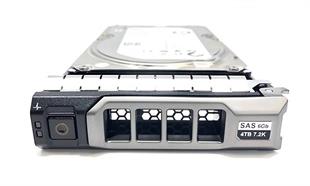 DELL 3,5 4tb 7.2K SAS Sunucu Disk
