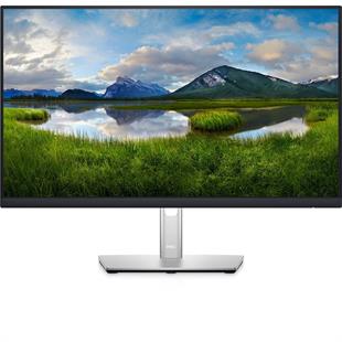 DELL P2422HE 23.8