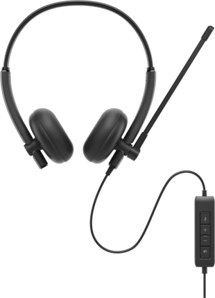 DELL USB Headset WH125 Mikrofonlu Kulaklık