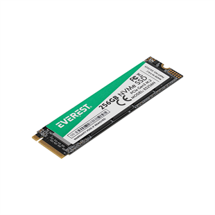 EVEREST ES256N 256GB 3D NAND Flash 2500MB/1800MB PCIe Gen3 NVMe M.2 SSD