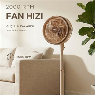 Everest FAN13 Olympos Air Krem/Gold 10