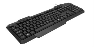 FRISBY FK-4810QU Q Türkçe USB Standart Siyah Klavye