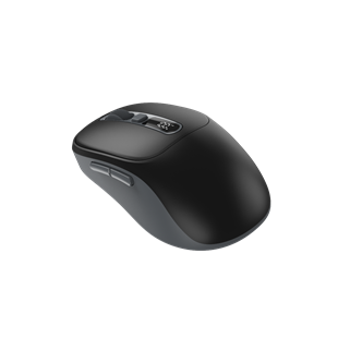 FRISBY FM-296WM Kablosuz Siyah Mouse