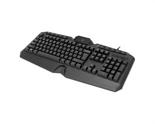 Frisby FK-4865QU USB Q ışıklı MM siyah