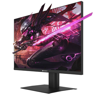 GAMEBOOSTER 23.8