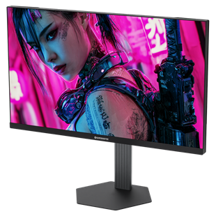 GAMEBOOSTER 24.5