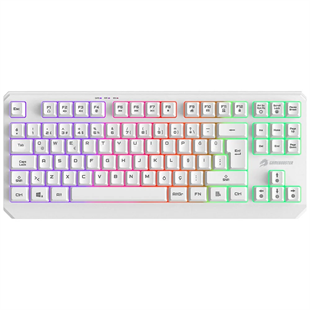 GAMEBOOSTER G75 ELYA Rainbow Aydınlatmalı Beyaz TKL Membrane Oyun Klavyesi
