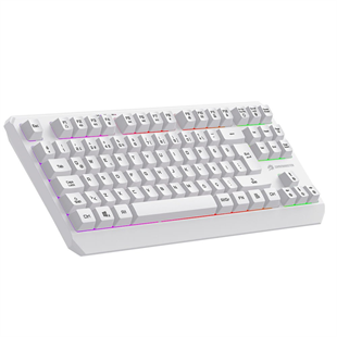 GAMEBOOSTER G75 ELYA Rainbow Aydınlatmalı Beyaz TKL Membrane Oyun Klavyesi