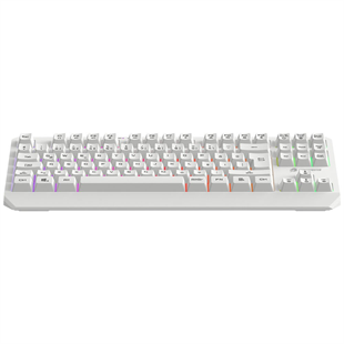GAMEBOOSTER G75 ELYA Rainbow Aydınlatmalı Beyaz TKL Membrane Oyun Klavyesi
