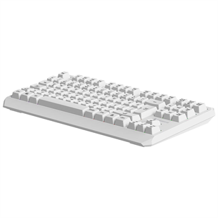 GAMEBOOSTER G75 ELYA Rainbow Aydınlatmalı Beyaz TKL Membrane Oyun Klavyesi