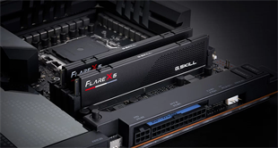 GSKILL 32GB (2X 16GB) DDR5 5600MHZ CL30 DUAL KIT PC RAM FLARE X5 F5-5600J3036D16GX2-FX5