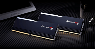GSKILL 32GB (2X 16GB) DDR5 6000MHZ CL36 DUAL KIT RGB PC RAM RIPJAWS M5 F5-6000J3636F16GX2-RM5RK