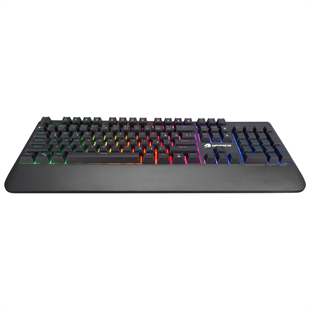 GAMEBOOSTER GB-G44 Kablolu Q Trk Siyah Gaming Klavye