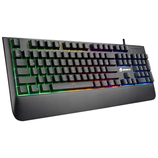 GAMEBOOSTER GB-G44 Kablolu Q Trk Siyah Gaming Klavye