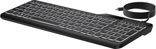 HP 405 Kablolu USB Siyah Klavye (7N7C1AA)
