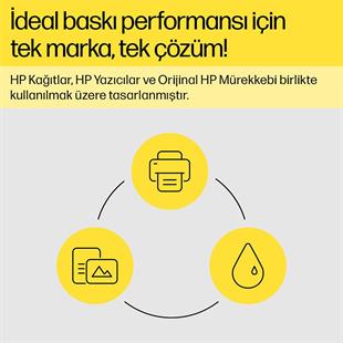 HP 6ZA17AE Siyah BASKI KAFASI 515/530/615