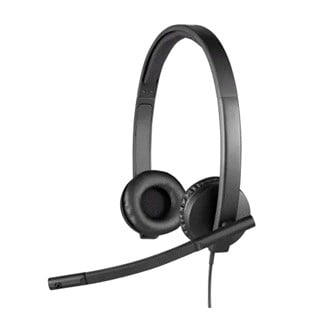 LOGITECH H570E Type-C Kurumsal Siyah Mikrofonlu Kulaklık 981-001431