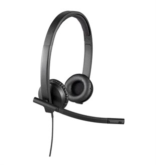 LOGITECH H570E Type-C Kurumsal Siyah Mikrofonlu Kulaklık 981-001431