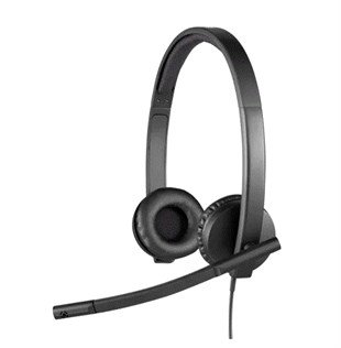 LOGITECH H570E Type-C Kurumsal Siyah Mikrofonlu Kulaklık 981-001431