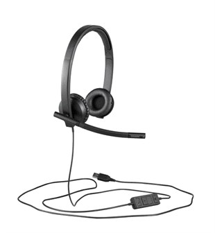 LOGITECH H570E Type-C Kurumsal Siyah Mikrofonlu Kulaklık 981-001431