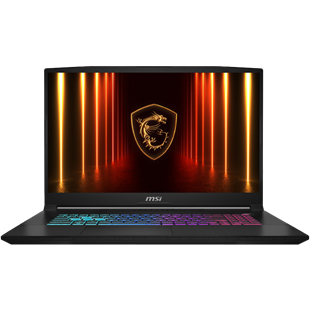 MSI 17.3