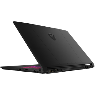 MSI 17.3