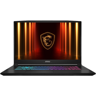 MSI 17.3