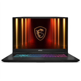 MSI 17.3