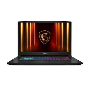 MSI 17.3