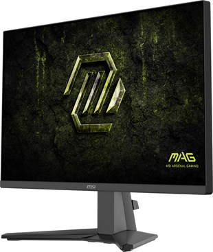 MSI 24.5