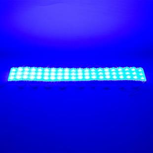 Powermaster 12 Volt 1.5 Watt Mavi 2835 69 X 16 Mm IP65 160 – 180 Lümen 160 Derece Modül Led