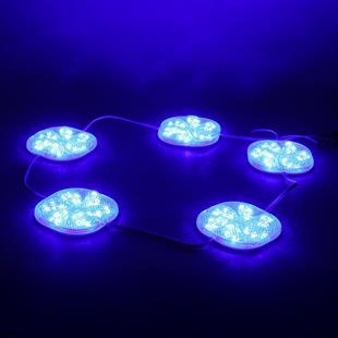 PowerMaster PM-14706 12 Volt 3 Watt Mavi Sabit 6565-2835 Modül Led 65x65x12mm