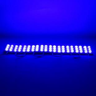 Powermaster 24 Volt 3 Watt Mavi 3030 Cob Modül Led 75*40