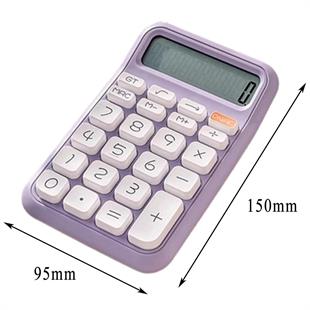Powermaster PM-25411 Mor 12 Haneli Hesap Makinesi