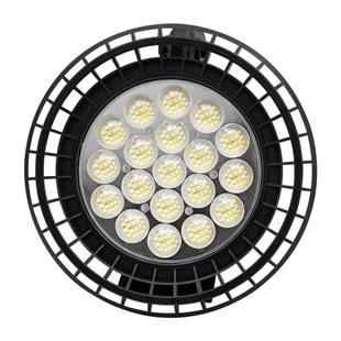 Powermaster Uzun Menzilli Işıldak MX-W871A