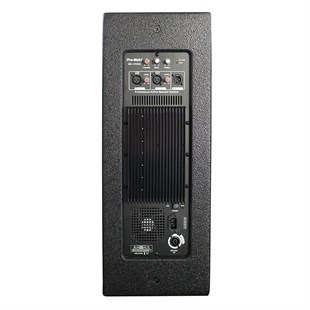 Pro-Main MS-1012GA 500 Watt 30 Cm Aktif Ahşap Kabin Hoparlör