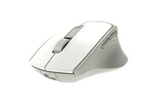 QUANTUM AERO Kablosuz + Bluetooth 4800dpi Mouse