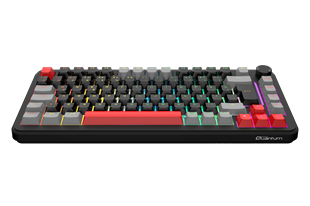 QUANTUM MECHACORE Kablolu USB Q Trk RGB Gaming Klavye