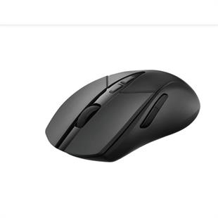 RAPOO V300SE Kablolu/Kablosuz 1200dpi Siyah Mouse (12401)