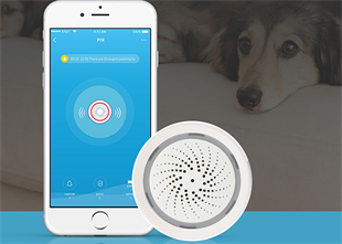 S-LINK Swapp SL-EG03 Isı ve Nem Göstergeli Kablosuz Siren