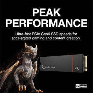 SEAGATE 2TB FIRECUDA 530R ZP2000GM3A073 7400-6900MB/s M2 NVME GEN4 Disk