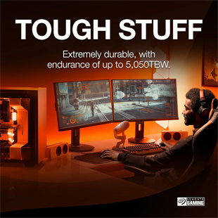 SEAGATE 2TB FIRECUDA 530R ZP2000GM3A073 7400-6900MB/s M2 NVME GEN4 Disk