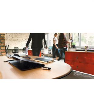 SanDisk Extreme Go 256GB 3.2 Flash Drive