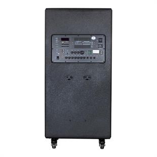 Shile SL-1612B İki El Mikrofonlu-Kumandalı USB/SD/BT/FM Taşınabilir Hoparlör