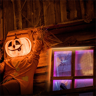 TP-LINK Tapo L920-5 Renkli Led Şerit